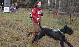 Kaip gyventi šią savaitę (11.15 -11.22)