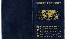 Klaipėdoje sulaikytas "pasaulio pilietis"