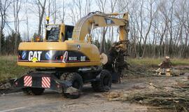 Ties Plytine iš kelkraščių šalinami medžiai