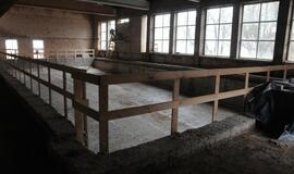 Tęsiasi "Gintaro" baseino rekonstrukcija Klaipėdoje