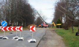 Ties Plytine iš kelkraščių šalinami medžiai