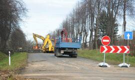 Ties Plytine iš kelkraščių šalinami medžiai