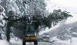 Europą kausto šaltis