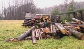 Klaipėdos rajone apvirto medieną vežęs sunkvežimis