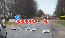 Ties Plytine iš kelkraščių šalinami medžiai