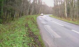 Avarija Girulių kelyje