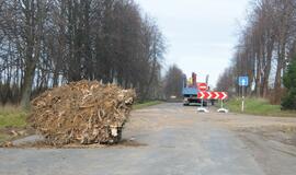 Ties Plytine iš kelkraščių šalinami medžiai