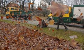 Klaipėdiečiai tvarkė Skulptūrų parką