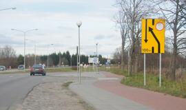 Ties Plytine iš kelkraščių šalinami medžiai