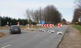 Ties Plytine iš kelkraščių šalinami medžiai