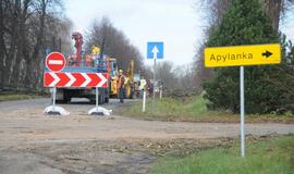 Ties Plytine iš kelkraščių šalinami medžiai