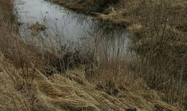 Policija nustatė, kas į griovį išmetė gyvūnų gaišenas