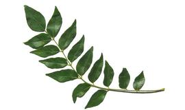 Šri Lankos virtuvė: ananasai su pipirais