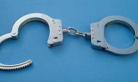 Už gerą elgesį laisvę atgavęs vagis nepasitaisė