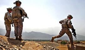 "Wikileaks" žada paviešinti dar daugiau slaptų dokumentų