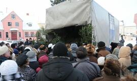 Miškininkai klaipėdiečiams dalino eglių šakas