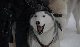 Pirmąją Kalėdų dieną Teatro aikštėje