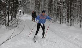 Orientavimosi su slidėmis varžybos prie vasaros estrados