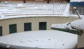 Klaipėdoje tęsiama delfinariumo rekonstrukcija