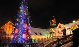 Klaipėdoje įžiebta miesto kalėdinė eglė