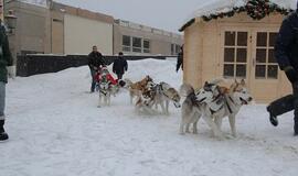 Pirmąją Kalėdų dieną Teatro aikštėje