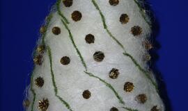 Originalios Klaipėdos pedagogų, darželinukų ir tėvelių eglutės