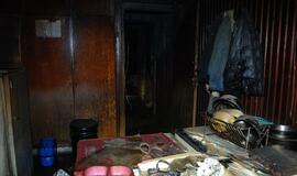 Klaipėdoje sudegė gyvūnų prieglauda su augintiniais