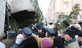 Miškininkai klaipėdiečiams dalino eglių šakas