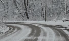 Vairuotojams: keliai slidūs, pažeme pusto