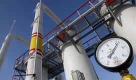 "WikiLeaks" dokumentai: Rusijos "Gazprom" elgiasi kaip grobuonis