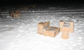 Kontrabandininkų alibi - briedžių medžioklė