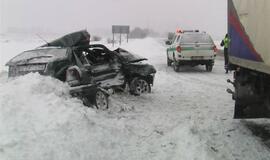 Vilkikas sumaitojo lengvąjį automobilį