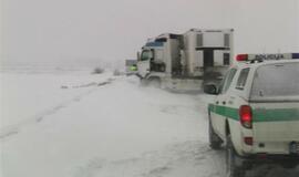 Vilkikas sumaitojo lengvąjį automobilį