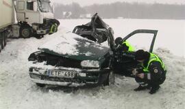 Vilkikas sumaitojo lengvąjį automobilį