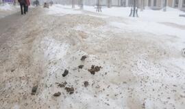 Tirpstančiame sniege - šiukšlių klodai