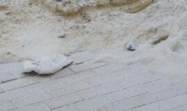 Tirpstančiame sniege - šiukšlių klodai