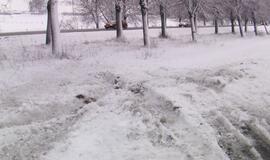 Kelyje Klaipėda-Palanga apvirto "Jeep"