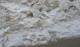 Tirpstančiame sniege - šiukšlių klodai