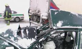 Vilkikas sumaitojo lengvąjį automobilį