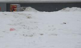 Tirpstančiame sniege - šiukšlių klodai