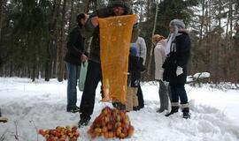 Klaipėdiečiai miško žvėreliams nešė maistą