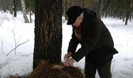Klaipėdiečiai miško žvėreliams nešė maistą