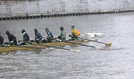 Danėje - irklavimo žiemos taurės varžybos.