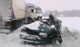 Vilkikas sumaitojo lengvąjį automobilį