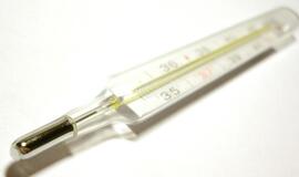 Po kelionės į Indiją paauglei diagnozuota vidurių šiltinė