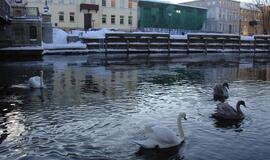 Šią savaitę vyraus permainingi orai