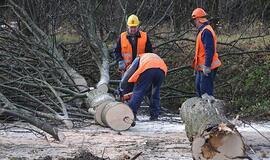 Valdininkai idėjų nestokoja