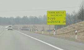 Žuvusiųjų keliuose Lietuvoje per metus sumažėjo penktadaliu