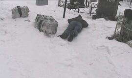 Cigaretes nuo pasieniečių slėpė kapinėse