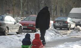 Palangoje - stintų ir ruonių šventė